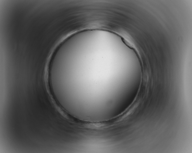 X0000089881053200707121809