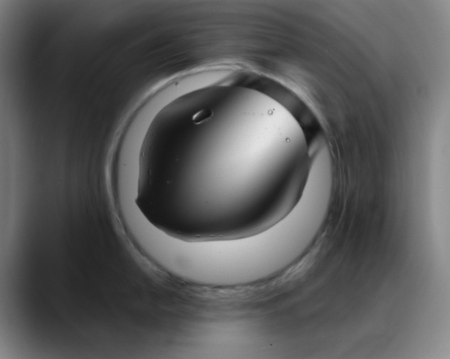 X0000089881054200707121809