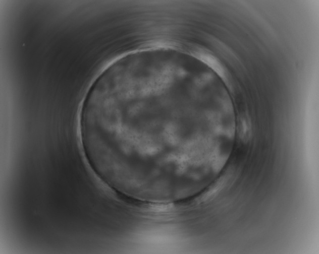 X0000089881055200707121809