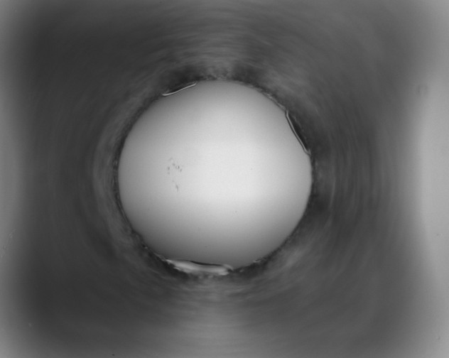 X0000089881057200707121808