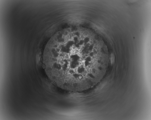 X0000089881059200707121808