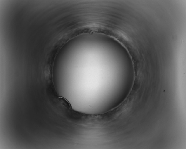 X0000089881062200707121808