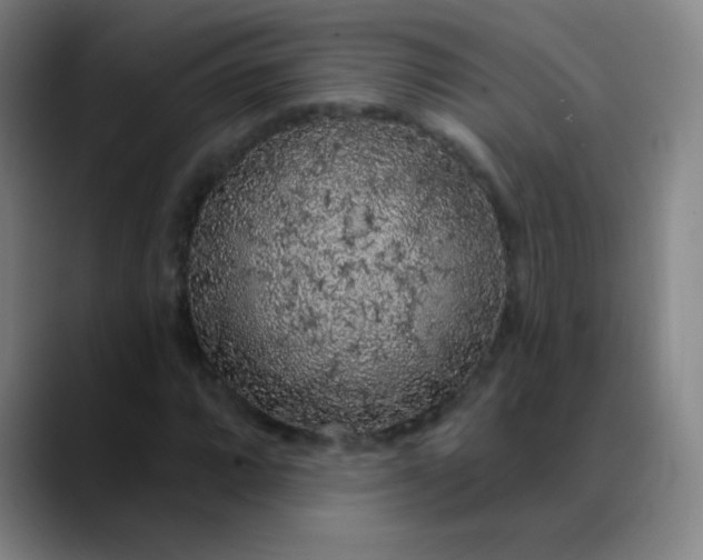 X0000089881064200707121808