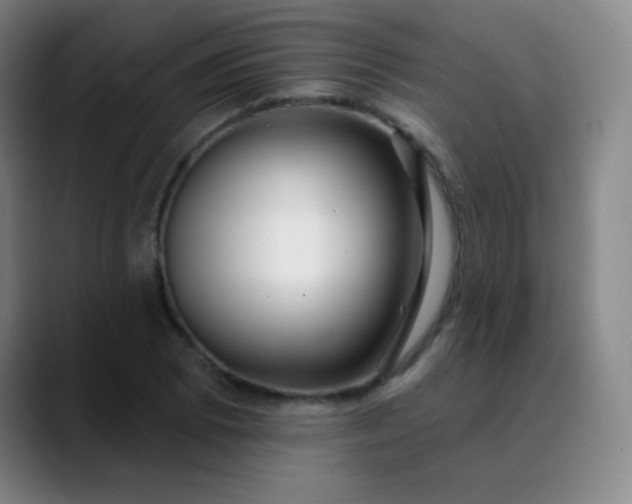 X0000089881073200707121808