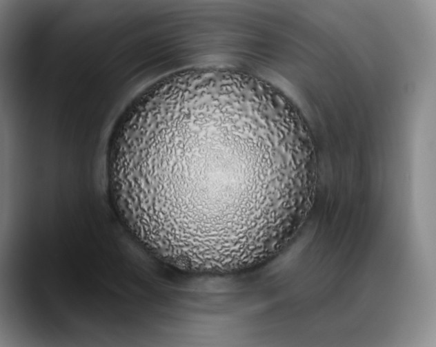 X0000089881075200707121808