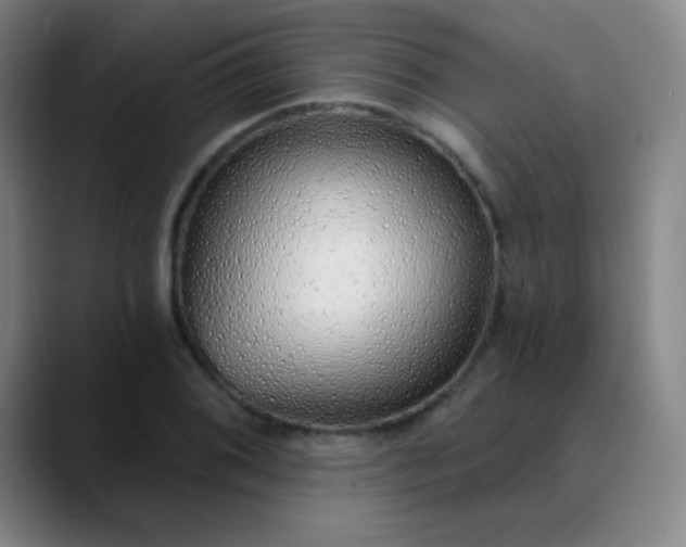 X0000089881076200707121808