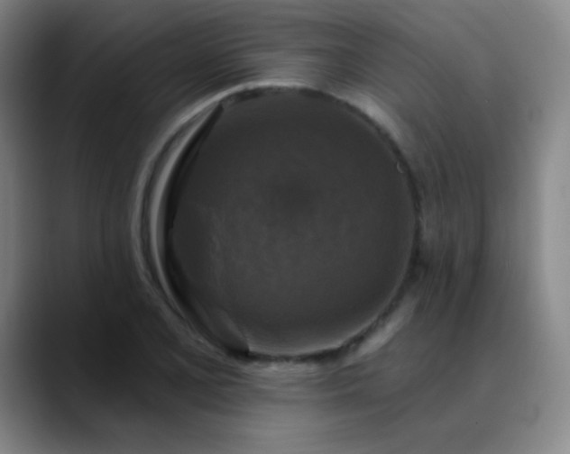 X0000089881077200707121808