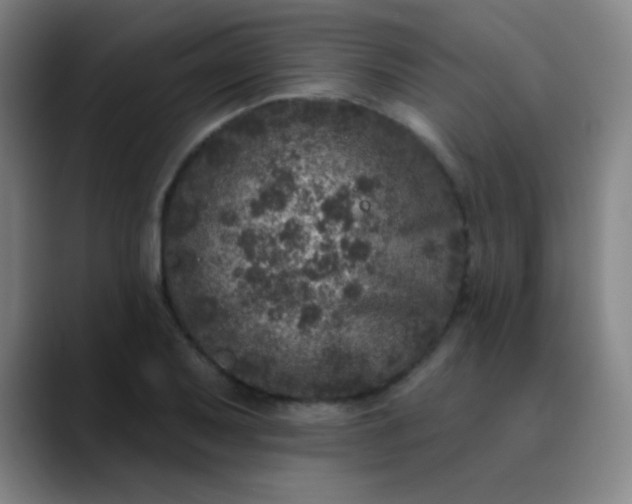 X0000089881079200707121808