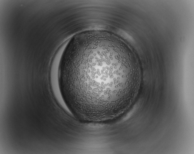 X0000089881081200707121808