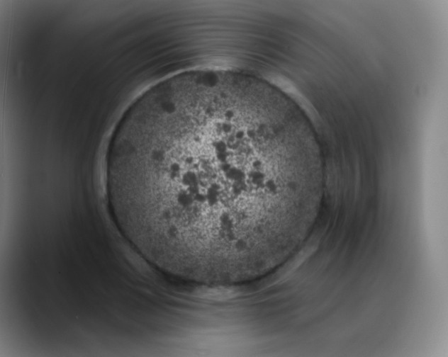 X0000089881083200707121808