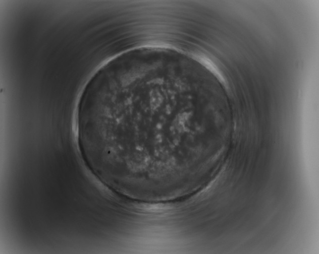 X0000089881084200707121808