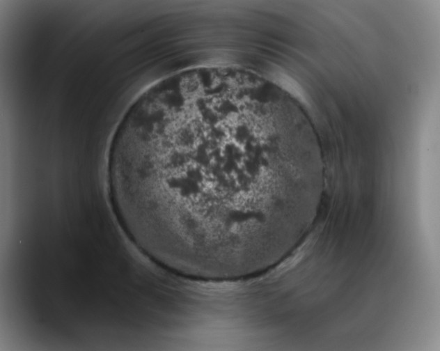 X0000089881087200707121808