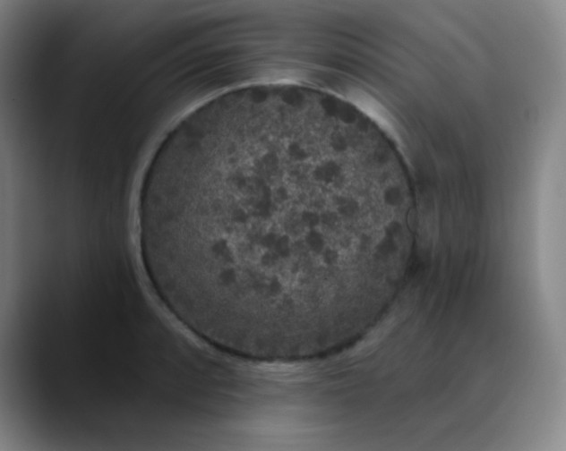 X0000089881088200707121808