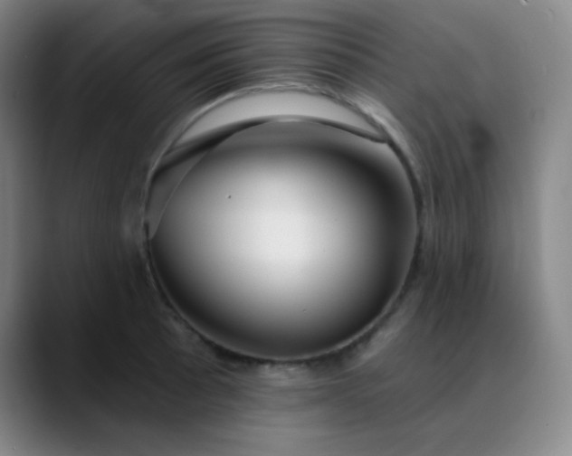 X0000089881089200707121808