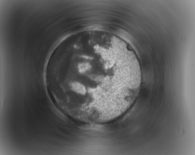 X0000089881090200707121808