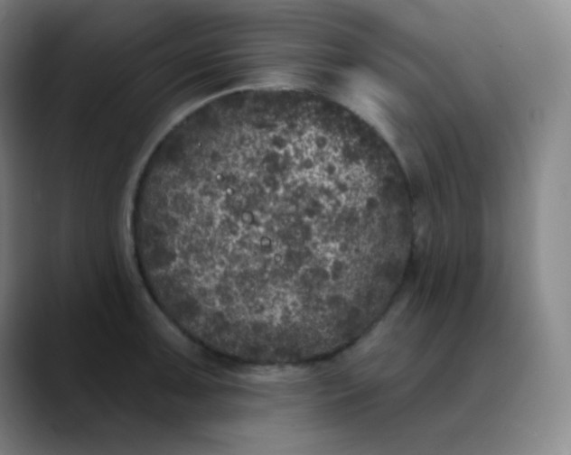 X0000089881091200707121808