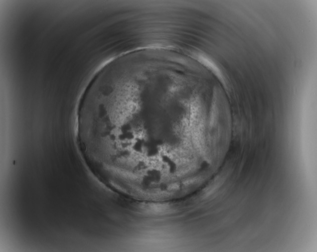 X0000089881095200707121808