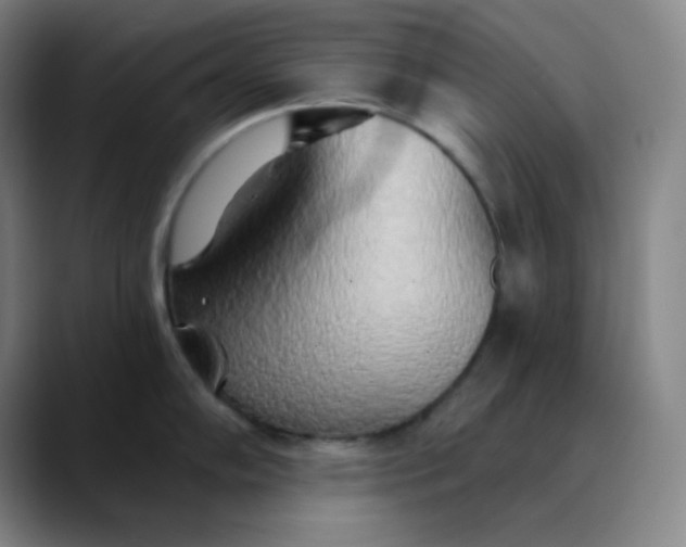 X0000089881102200707121808