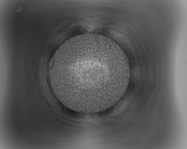 X0000089881105200707121807