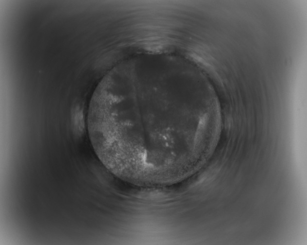 X0000089881106200707121807