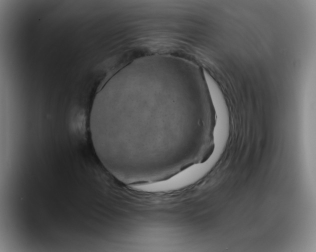 X0000089881108200707121807