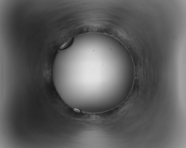 X0000089881109200707121807