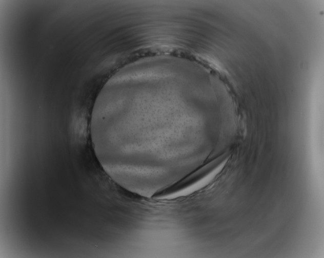 X0000089881110200707121807