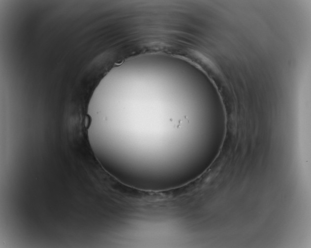 X0000089881111200707121807