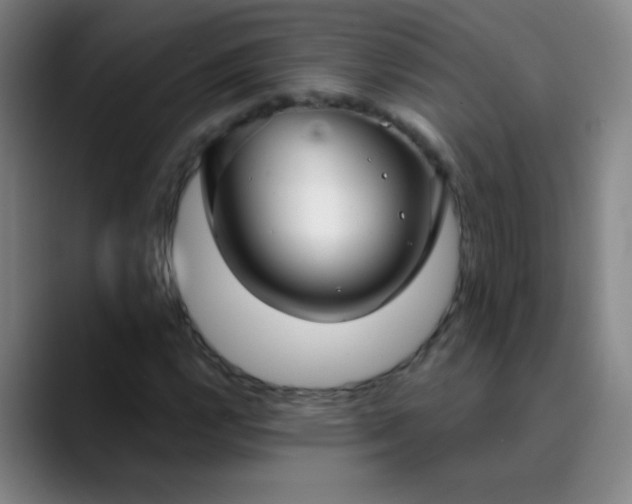 X0000089881112200707121807