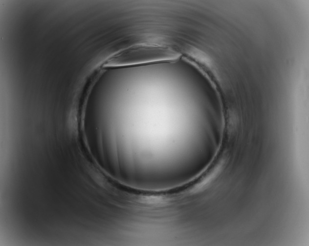 X0000089881114200707121807