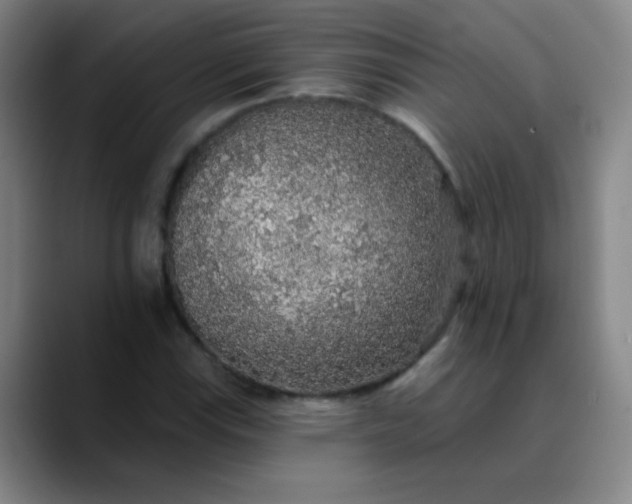 X0000089881115200707121807