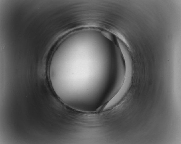 X0000089881116200707121807