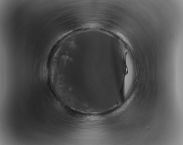 X0000089881117200707121807