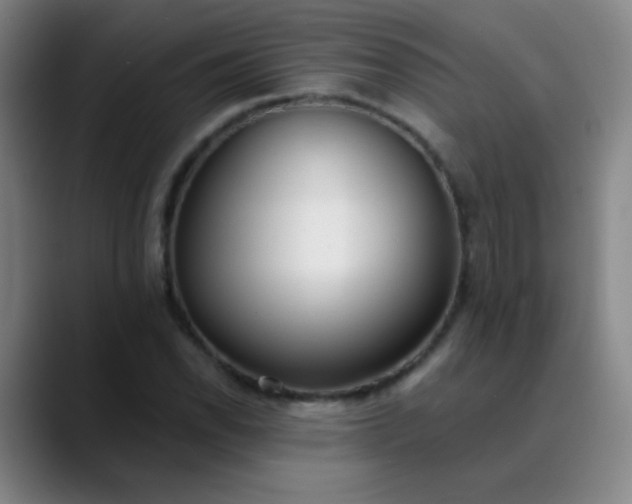 X0000089881118200707121807