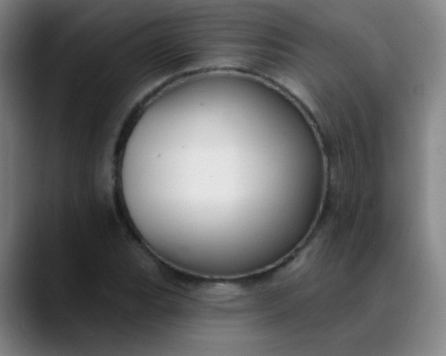 X0000089881119200707121807