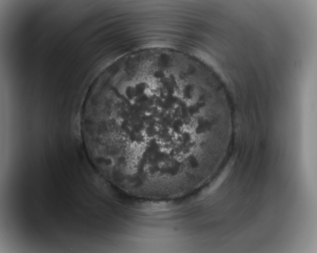 X0000089881121200707121807