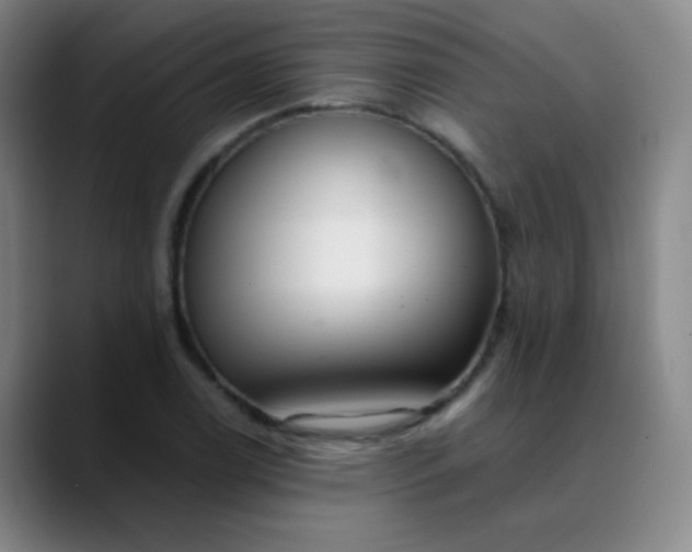 X0000089881122200707121807