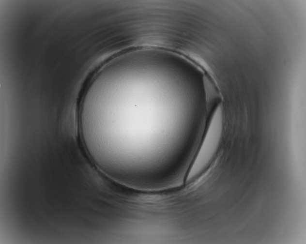 X0000089881123200707121807