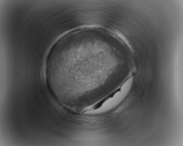 X0000089881124200707121807