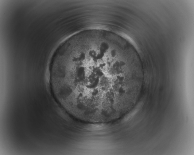 X0000089881125200707121807