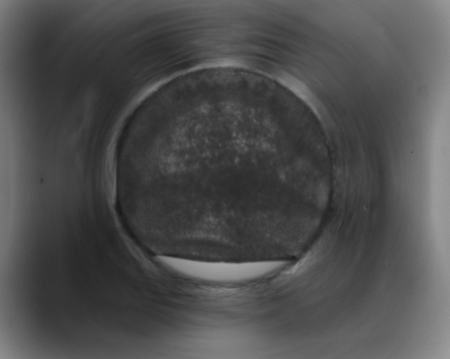 X0000089881127200707121807