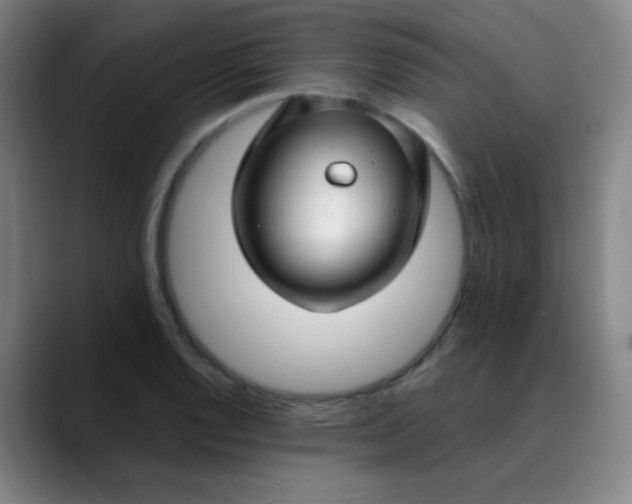 X0000089881128200707121807