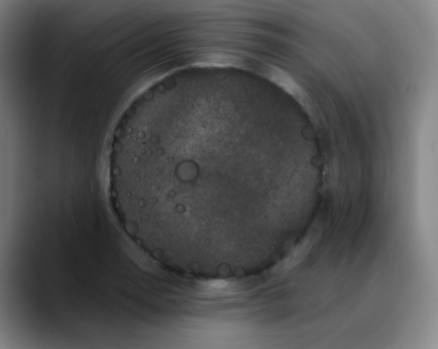 X0000089881130200707121807