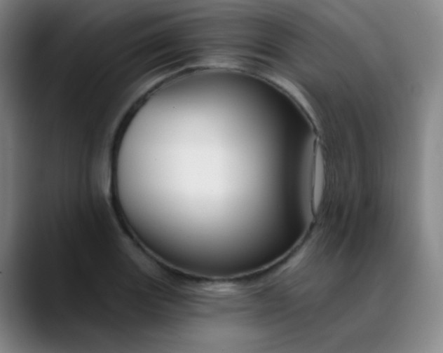 X0000089881131200707121807