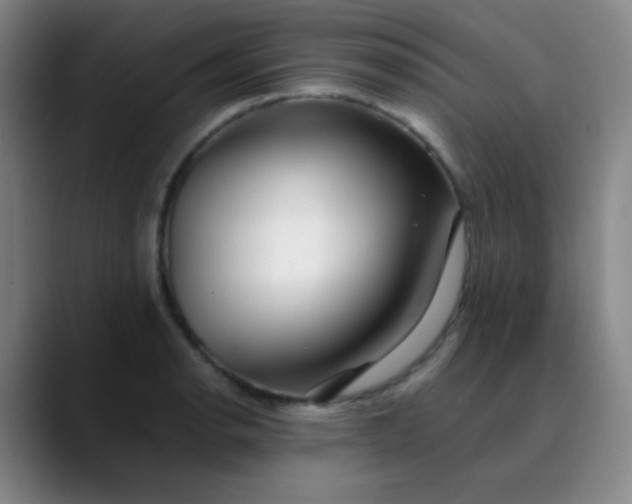 X0000089881134200707121808