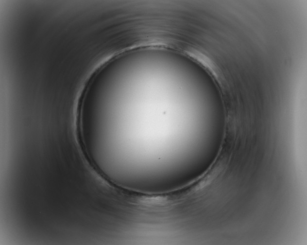 X0000089881135200707121808