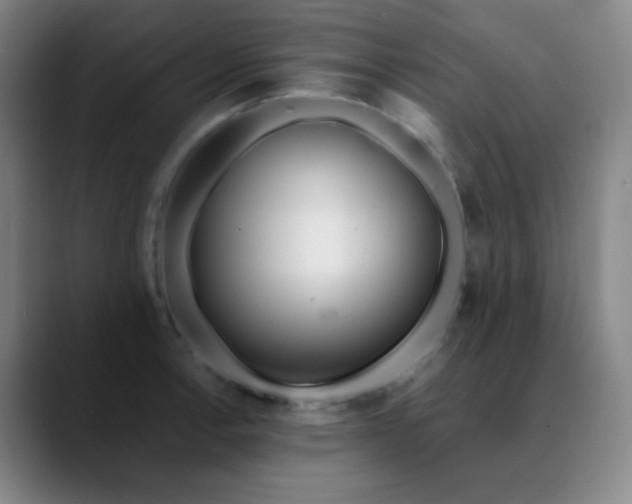 X0000089881138200707121808