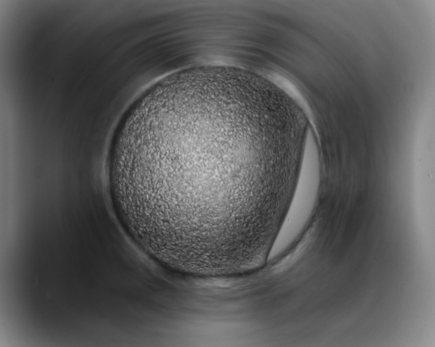 X0000089881141200707121808