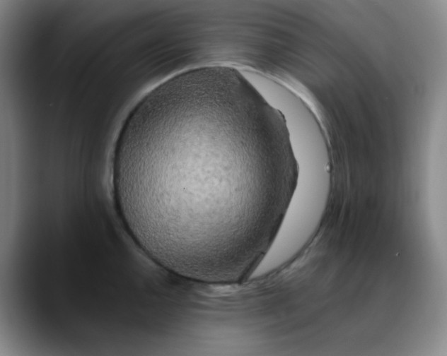 X0000089881144200707121808