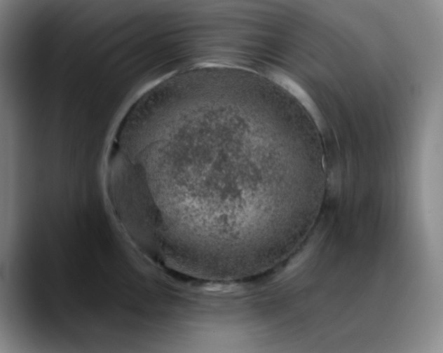 X0000089881146200707121808